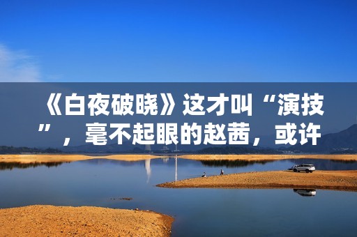 《白夜破晓》这才叫“演技”，毫不起眼的赵茜，或许才是最有戏的