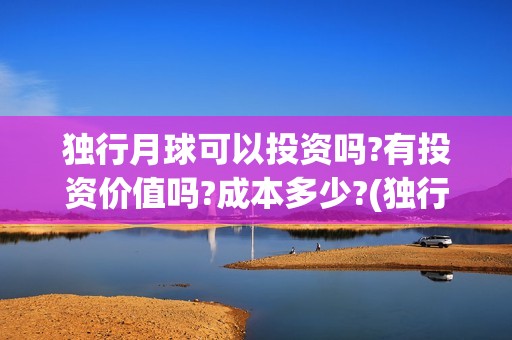 独行月球可以投资吗?有投资价值吗?成本多少?(独行月球投资成本)