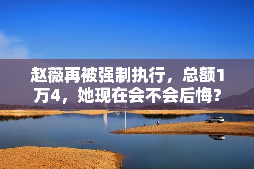 赵薇再被强制执行，总额1万4，她现在会不会后悔？