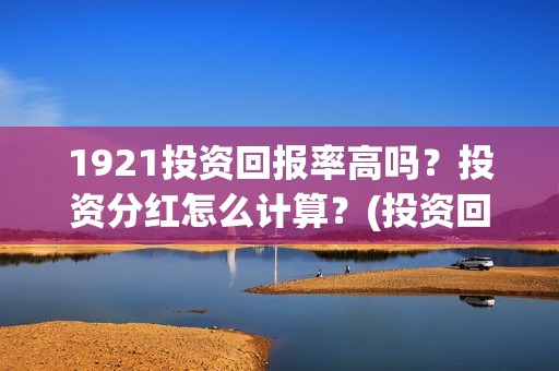 1921投资回报率高吗？投资分红怎么计算？(投资回报率100%什么意思)