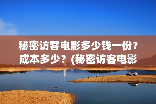 秘密访客电影多少钱一份？成本多少？(秘密访客电影名)