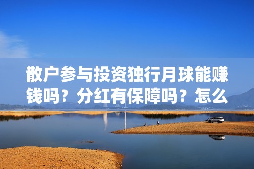 散户参与投资独行月球能赚钱吗？分红有保障吗？怎么确保份额真实？(散户能成为股东吗)