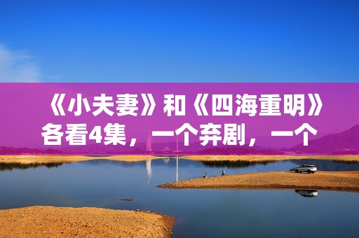 《小夫妻》和《四海重明》各看4集，一个弃剧，一个追到底