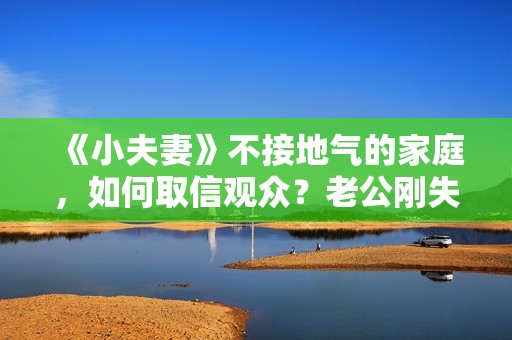 《小夫妻》不接地气的家庭，如何取信观众？老公刚失业老婆就赚钱