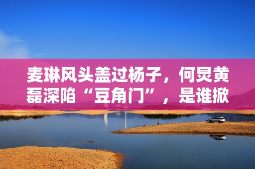 麦琳风头盖过杨子，何炅黄磊深陷“豆角门”，是谁掀起全民骂战？