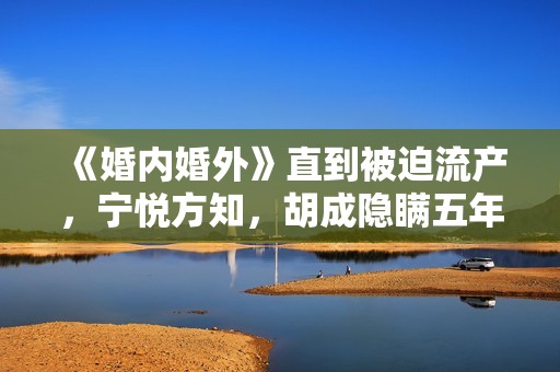 《婚内婚外》直到被迫流产，宁悦方知，胡成隐瞒五年的真相