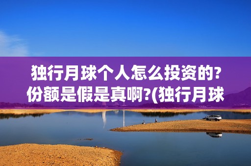 独行月球个人怎么投资的?份额是假是真啊?(独行月球杀青了吗)