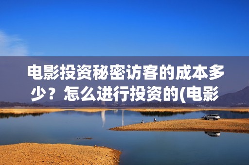 电影投资秘密访客的成本多少？怎么进行投资的(电影投资秘密访客演员表)
