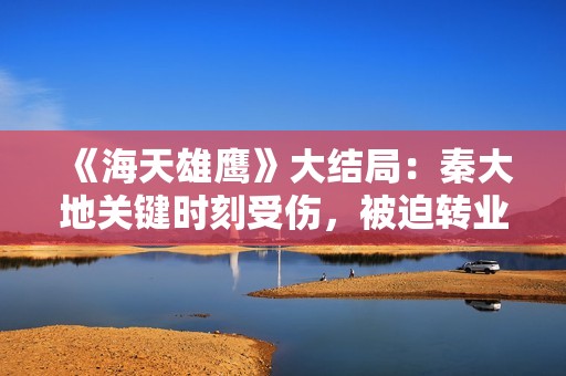 《海天雄鹰》大结局：秦大地关键时刻受伤，被迫转业，却成最圆满