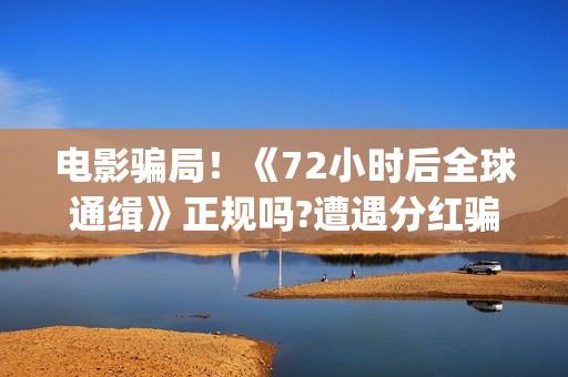 电影骗局！《72小时后全球通缉》正规吗?遭遇分红骗局怎么办?——抵制耐克(电影《骗局》)