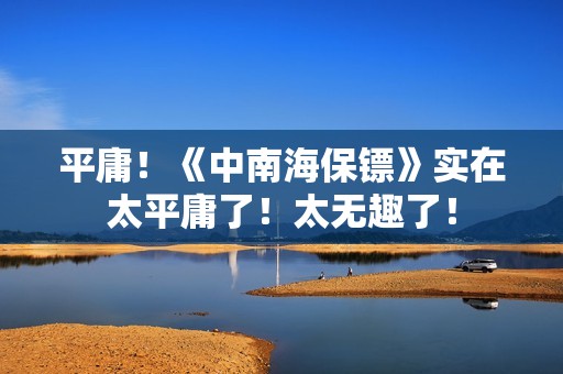 平庸！《中南海保镖》实在太平庸了！太无趣了！