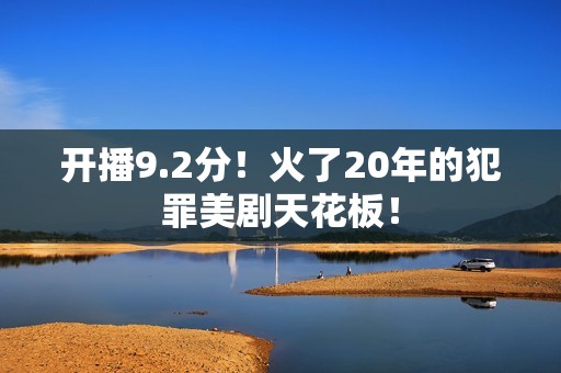 开播9.2分！火了20年的犯罪美剧天花板！