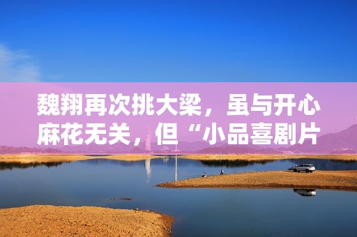 魏翔再次挑大梁，虽与开心麻花无关，但“小品喜剧片”依旧有市场