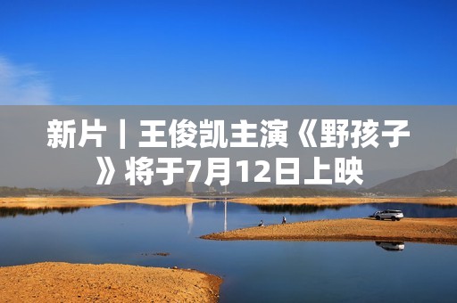新片｜王俊凯主演《野孩子》将于7月12日上映