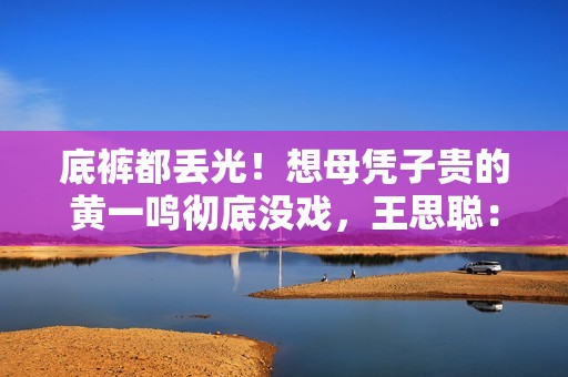 底裤都丢光！想母凭子贵的黄一鸣彻底没戏，王思聪：排队都轮不上