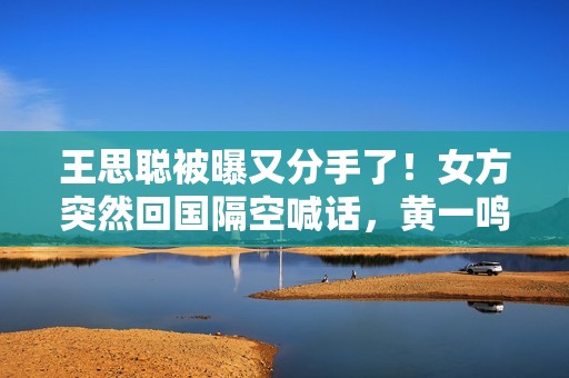 王思聪被曝又分手了！女方突然回国隔空喊话，黄一鸣开心带娃出游