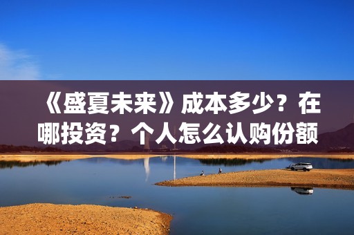 《盛夏未来》成本多少？在哪投资？个人怎么认购份额？(盛夏未来l)