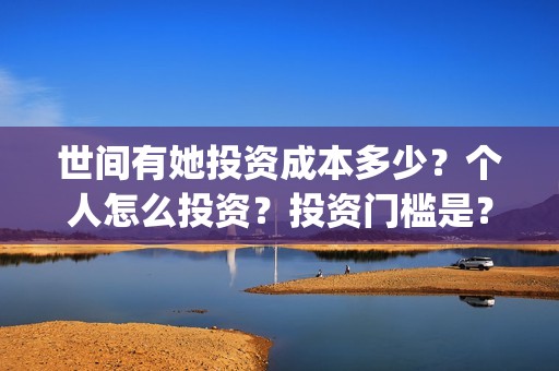 世间有她投资成本多少？个人怎么投资？投资门槛是？(世间有她电影投资)