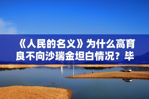 《人民的名义》为什么高育良不向沙瑞金坦白情况？毕竟他是一把手