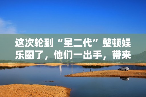 这次轮到“星二代”整顿娱乐圈了，他们一出手，带来教科书式演技