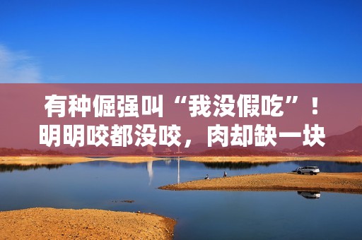 有种倔强叫“我没假吃”！明明咬都没咬，肉却缺一块，当观众瞎吗
