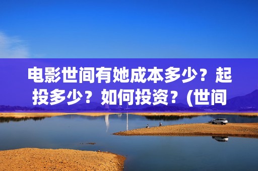 电影世间有她成本多少？起投多少？如何投资？(世间有她成本)