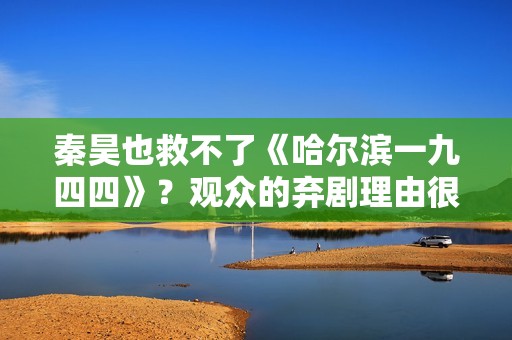 秦昊也救不了《哈尔滨一九四四》？观众的弃剧理由很一致