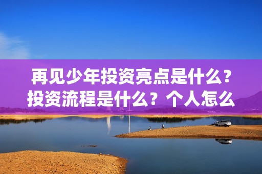 再见少年投资亮点是什么？投资流程是什么？个人怎么参与(再见少年联合出品方)
