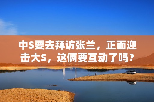 中S要去拜访张兰，正面迎击大S，这俩要互动了吗？