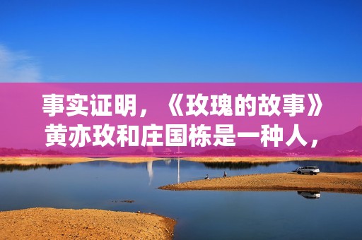 事实证明，《玫瑰的故事》黄亦玫和庄国栋是一种人，但后者更自私