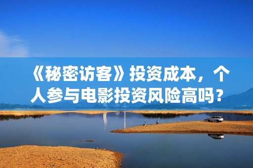 《秘密访客》投资成本，个人参与电影投资风险高吗？(秘密访客讲解析)