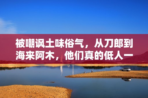 被嘲讽土味俗气，从刀郎到海来阿木，他们真的低人一等吗？