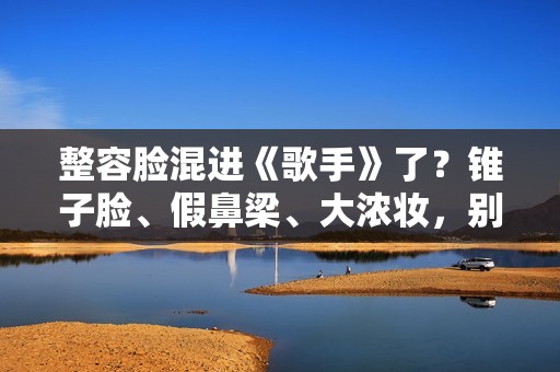 整容脸混进《歌手》了？锥子脸、假鼻梁、大浓妆，别辣观众眼睛了