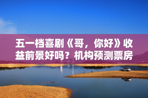 五一档喜剧《哥，你好》收益前景好吗？机构预测票房多少？怎么投资？