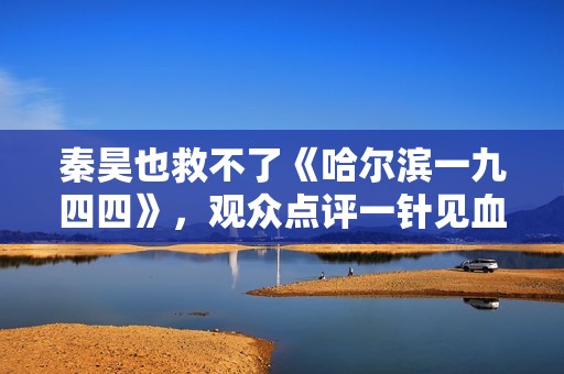 秦昊也救不了《哈尔滨一九四四》，观众点评一针见血