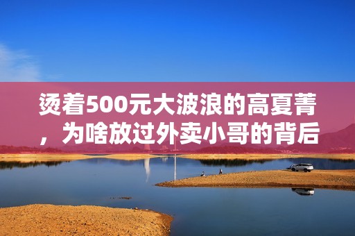 烫着500元大波浪的高夏菁，为啥放过外卖小哥的背后全是算计？