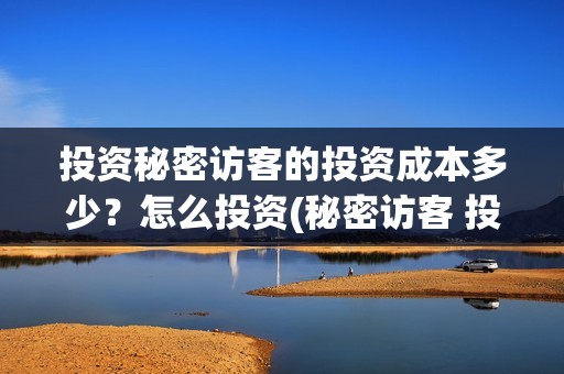 投资秘密访客的投资成本多少？怎么投资(秘密访客 投资方)