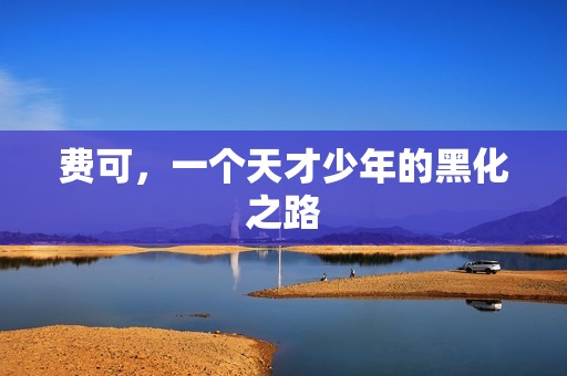 费可，一个天才少年的黑化之路