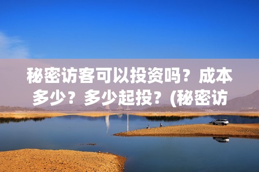 秘密访客可以投资吗？成本多少？多少起投？(秘密访客害怕么)