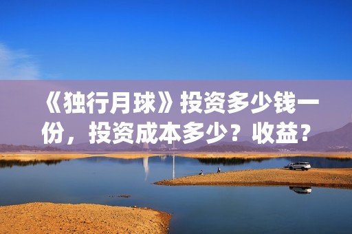 《独行月球》投资多少钱一份，投资成本多少？收益？(独行月球发行方)