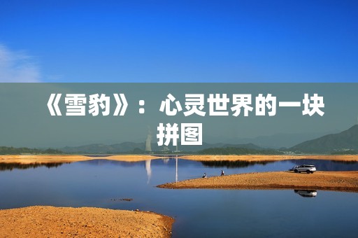 《雪豹》：心灵世界的一块拼图