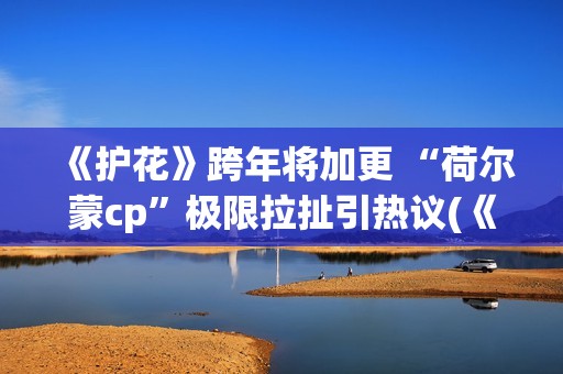 《护花》跨年将加更 “荷尔蒙cp”极限拉扯引热议(《护花使者》演唱视频)