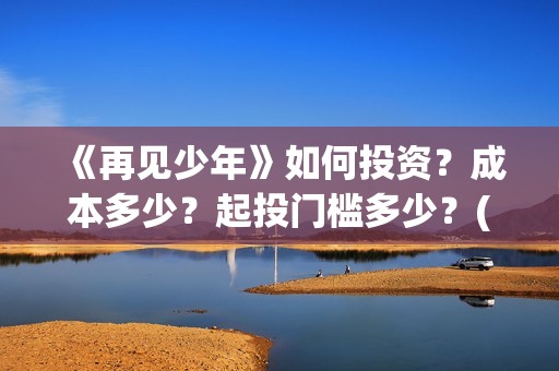 《再见少年》如何投资？成本多少？起投门槛多少？(再见少年mv)
