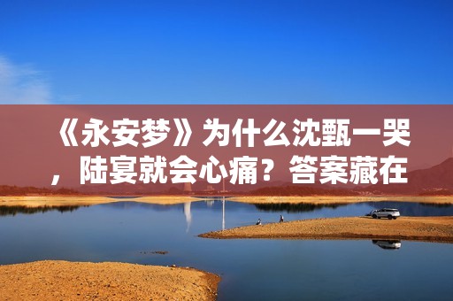 《永安梦》为什么沈甄一哭，陆宴就会心痛？答案藏在上一世