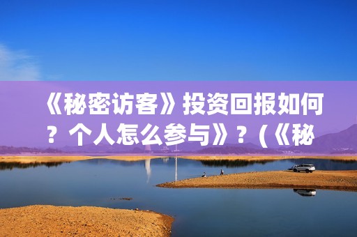 《秘密访客》投资回报如何？个人怎么参与》？(《秘密访客》剧情)