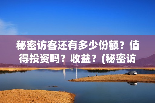 秘密访客还有多少份额？值得投资吗？收益？(秘密访客怕不怕)