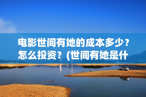 电影世间有她的成本多少？怎么投资？(世间有她是什么片)