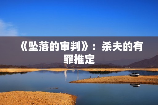 《坠落的审判》：杀夫的有罪推定