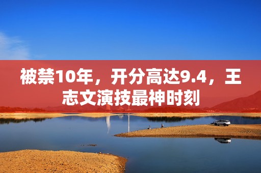 被禁10年，开分高达9.4，王志文演技最神时刻