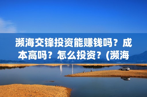 濒海交锋投资能赚钱吗？成本高吗？怎么投资？(濒海交锋电影投资可靠吗)